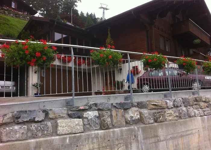 & Schaad * הסליברג