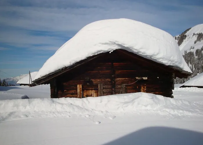 דירה & Schaad הסליברג