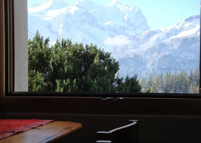 & Schaad הסליברג