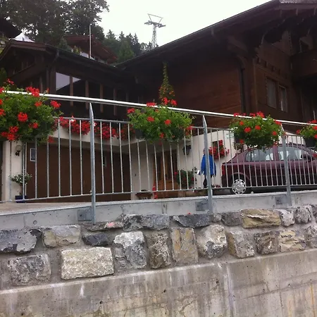 & Schaad * 哈斯利伯格